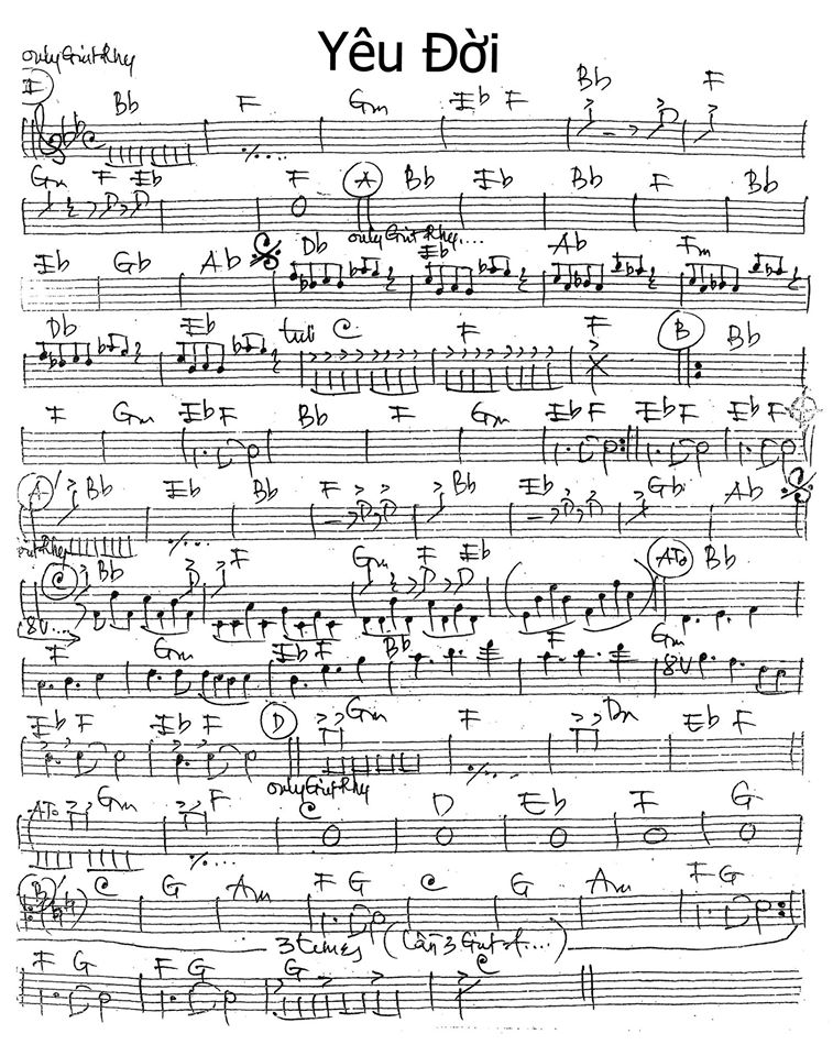 Yêu Đời Yêu Đời