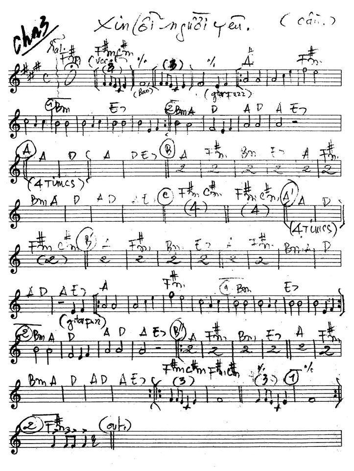 Xin Lỗi Người Yêu