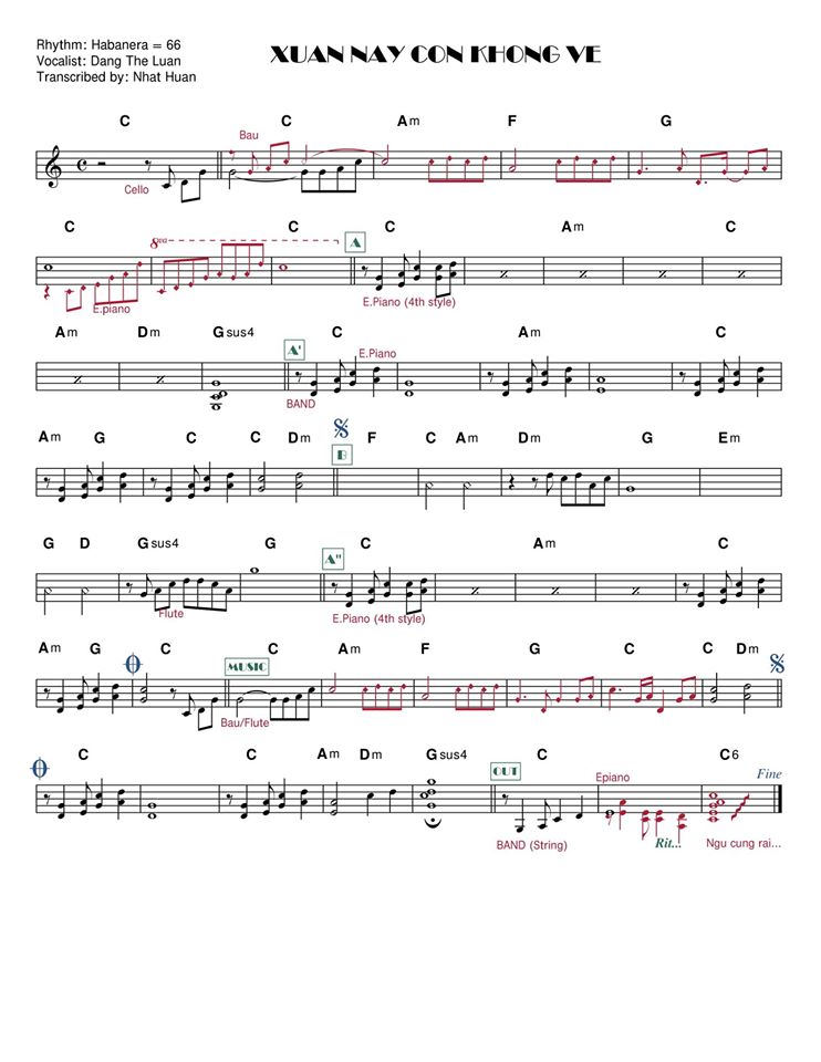 Xuân Này Con Không Về