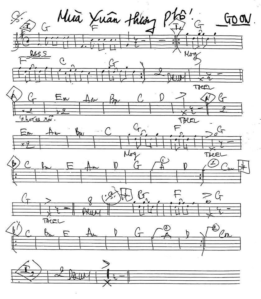 Mùa Xuân Hương Phố