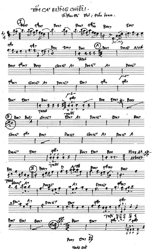 Tím Cả Rừng Chiều