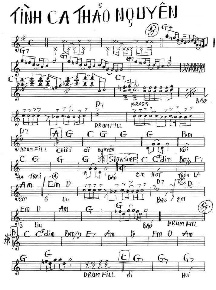 Tình Ca Thảo Nguyên 