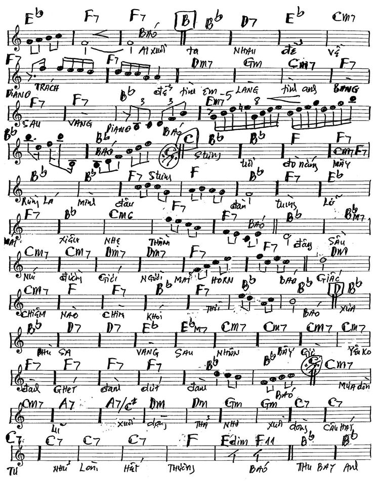 Vàng Phai Mấy Lá