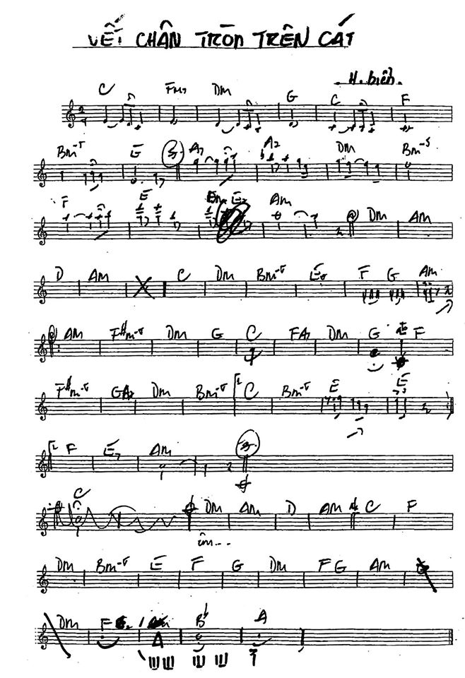 Vết Chân Tròn Trên Cát