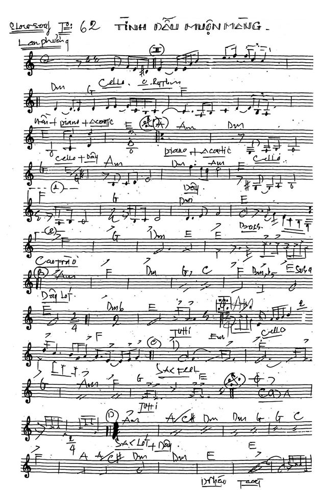 Tình Đầu Muộn Màng