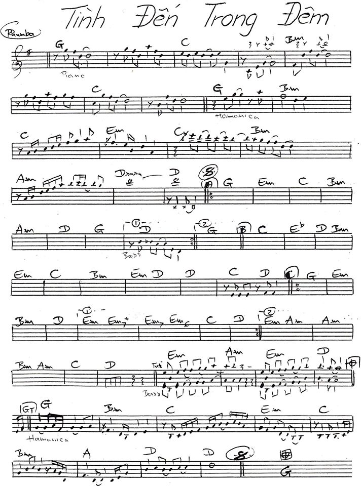 Tình Đến Trông Đêm