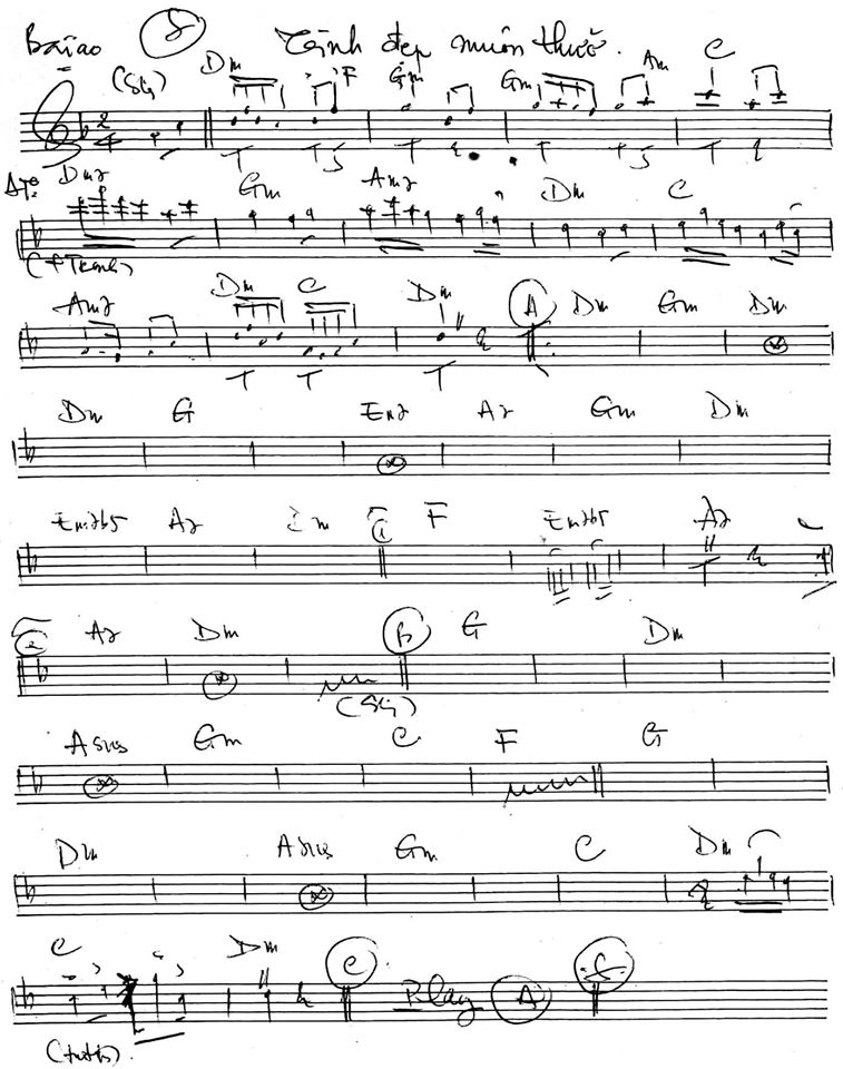 Tình Đẹp Muôn Thuở