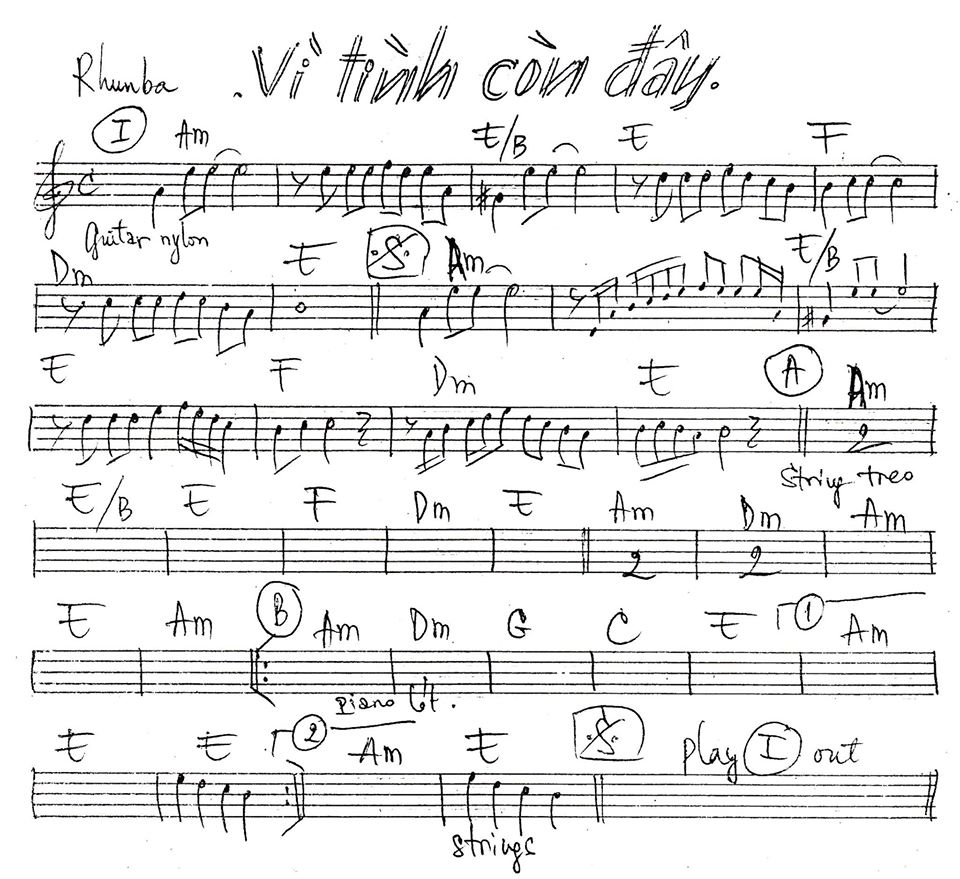 Vì Tình Còn Đây