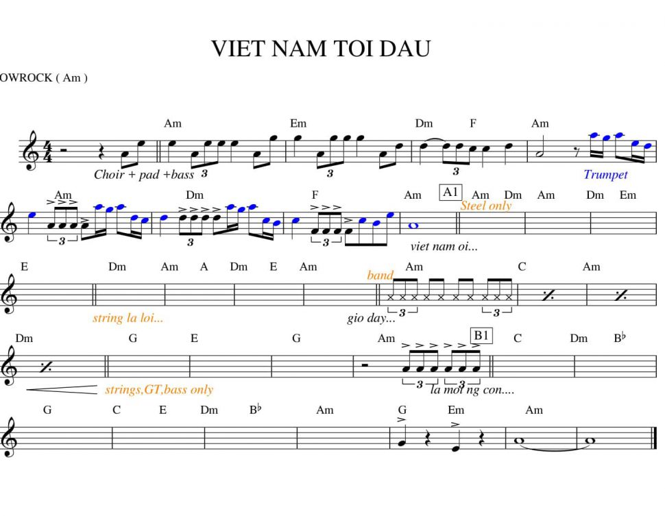 Việt Nam Tôi Đâu