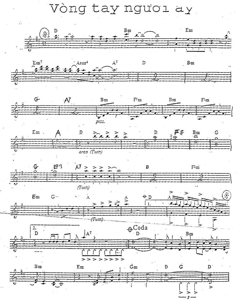 Vòng Tay Người Ấy