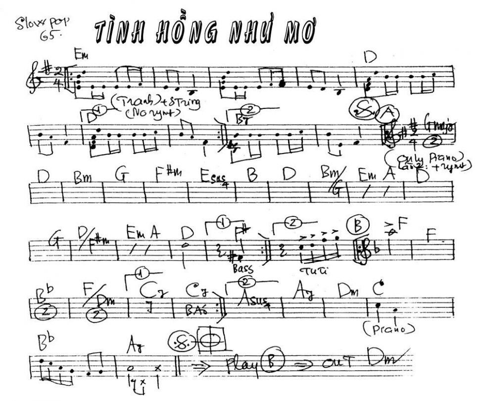 Tình Hồng Như Mơ