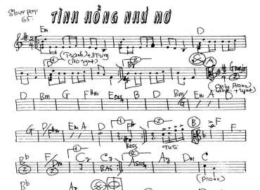 Tình Hồng Như Mơ Sheet Nhạc đệm