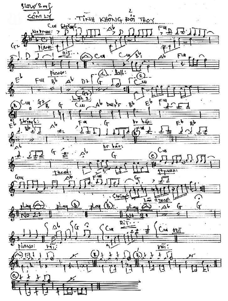 Tình Không Đổi Thay 