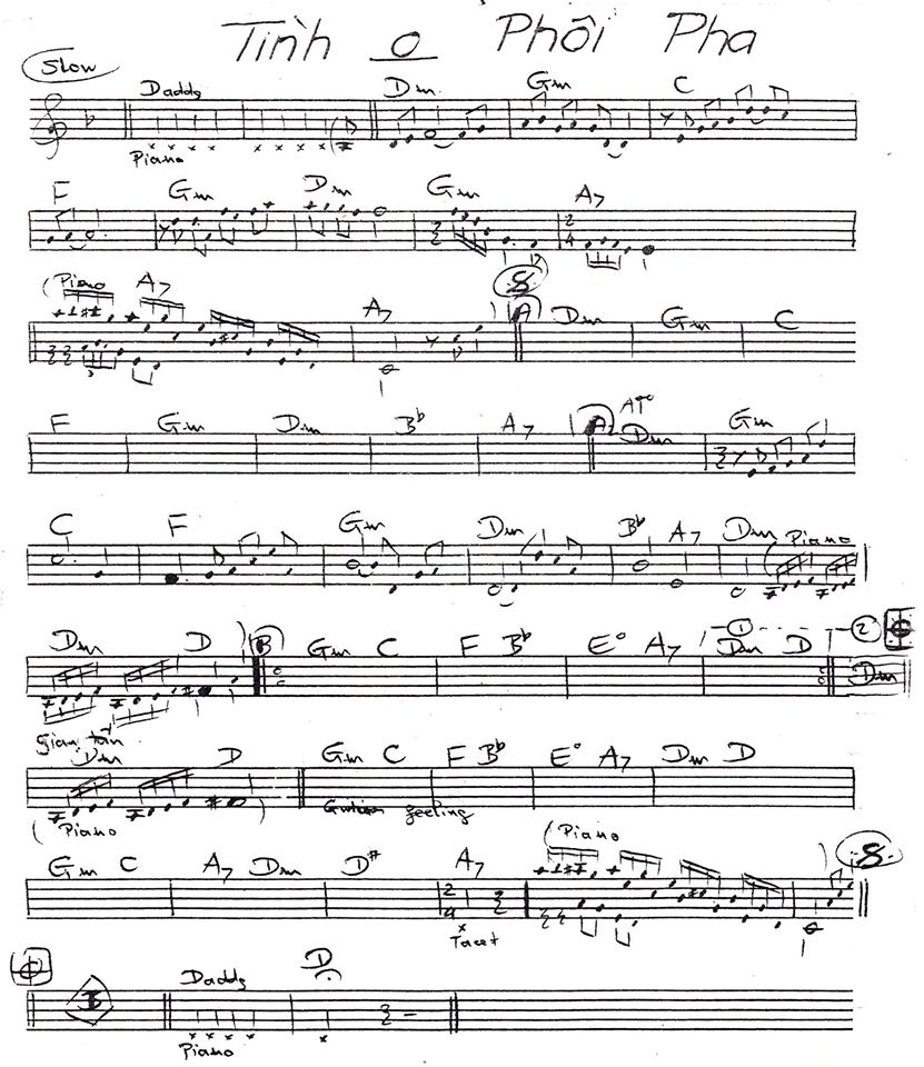 Tình Không Phôi Phai 