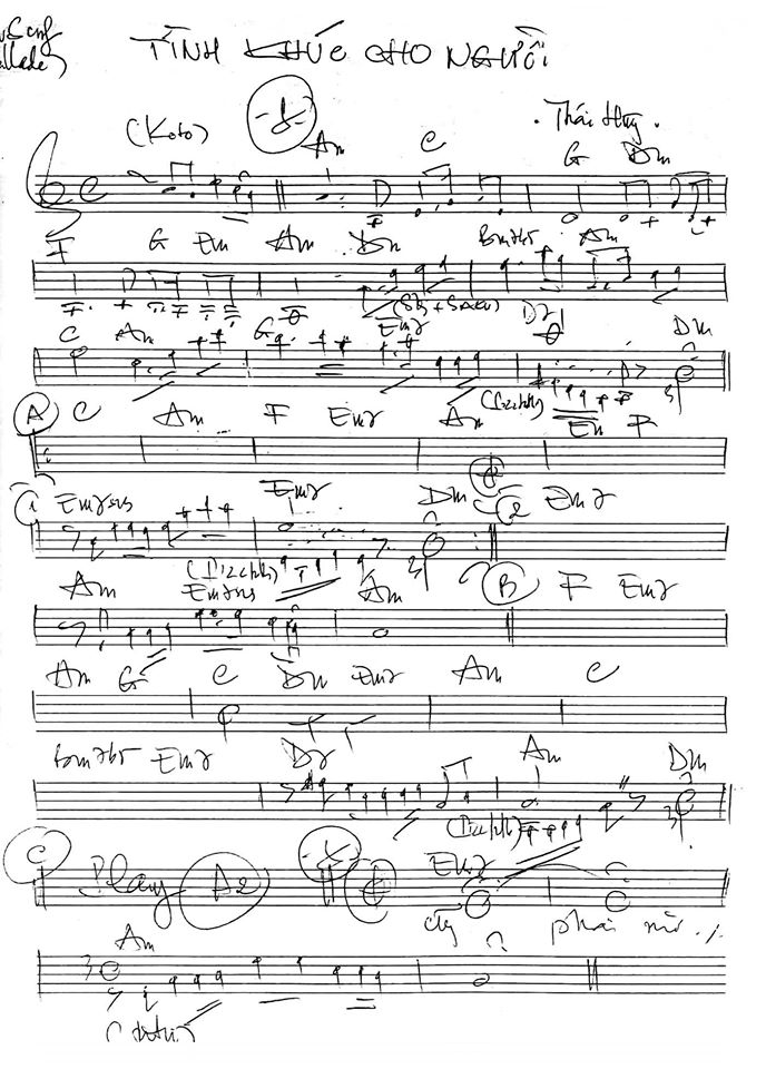 Tình Khúc Cho Người