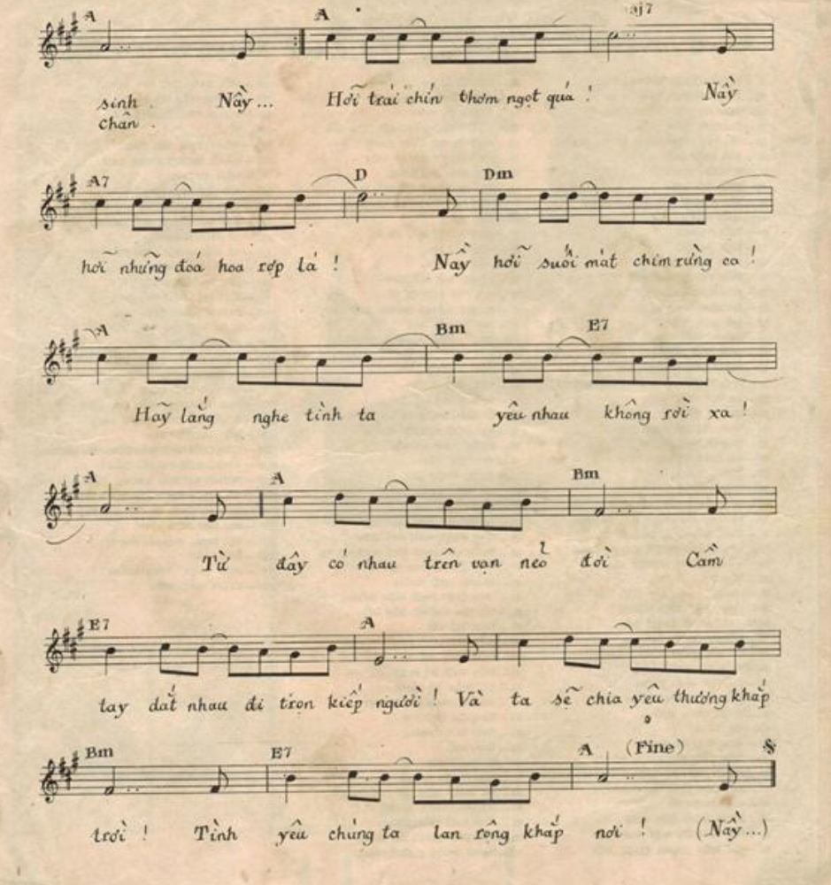 Bước Tình Hồng