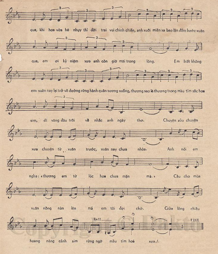 Đám Cưới Đầu Xuân