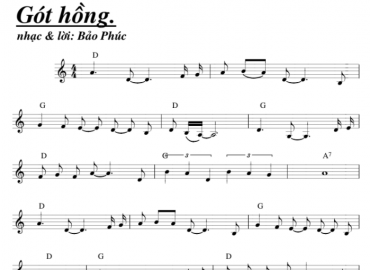 Gót Hồng Sheet Nhạc