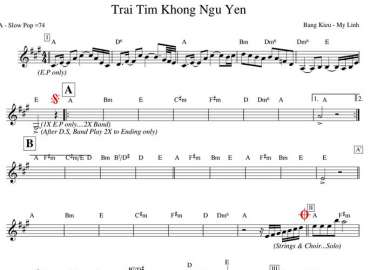 Trái Tim Không Ngủ Yên Sheet Nhạc đệm