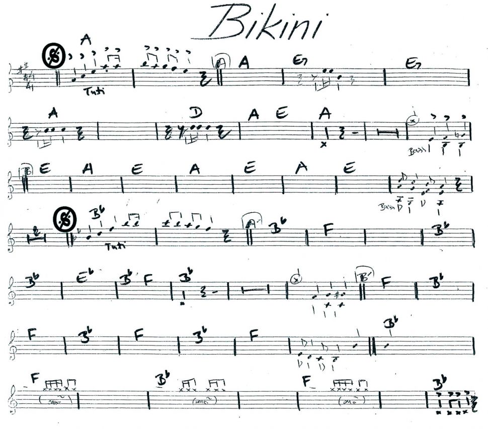 Bikini sheet 