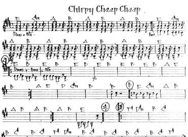 Chirpy Cheep Cheep sheet