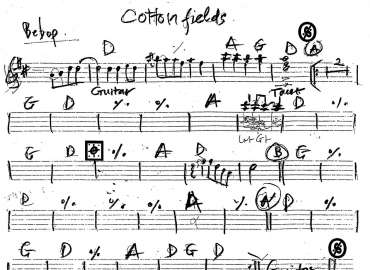 Cotton Fields sheet
