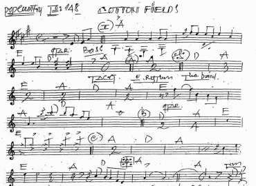 Cotton Fields sheet