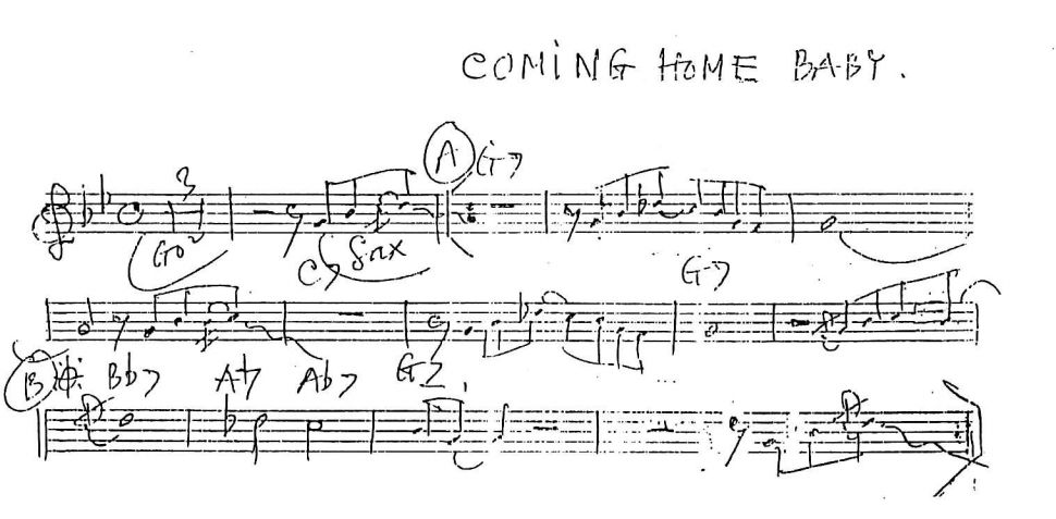 Coming Home Baby sheet