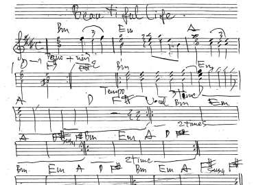 Becautiful life sheet