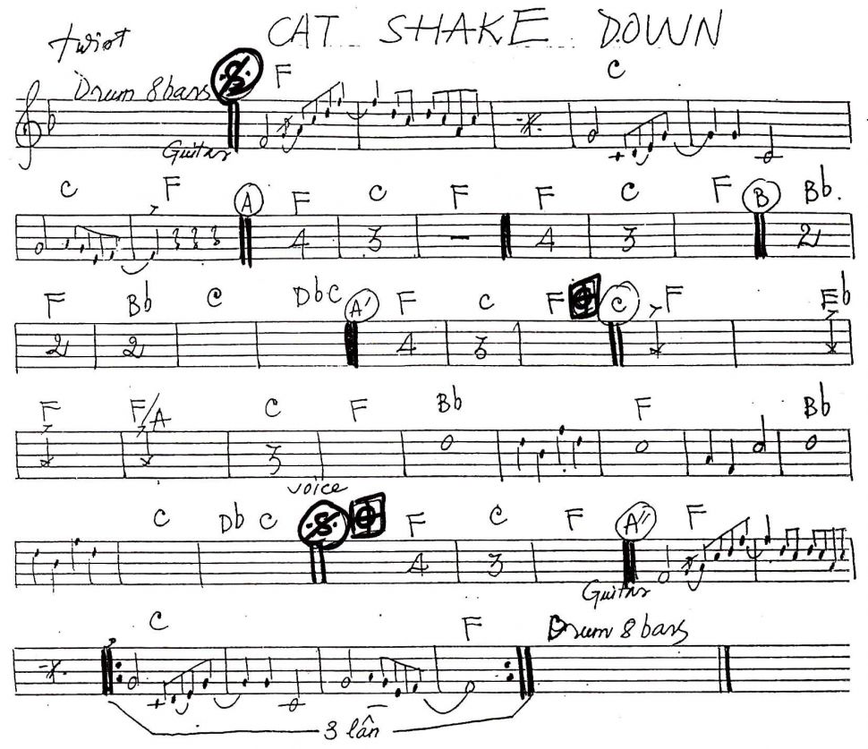 Can Shake Down sheet