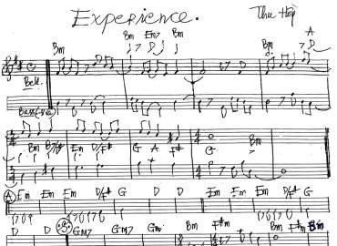 Experience sheet