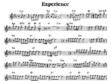 Experience sheet
