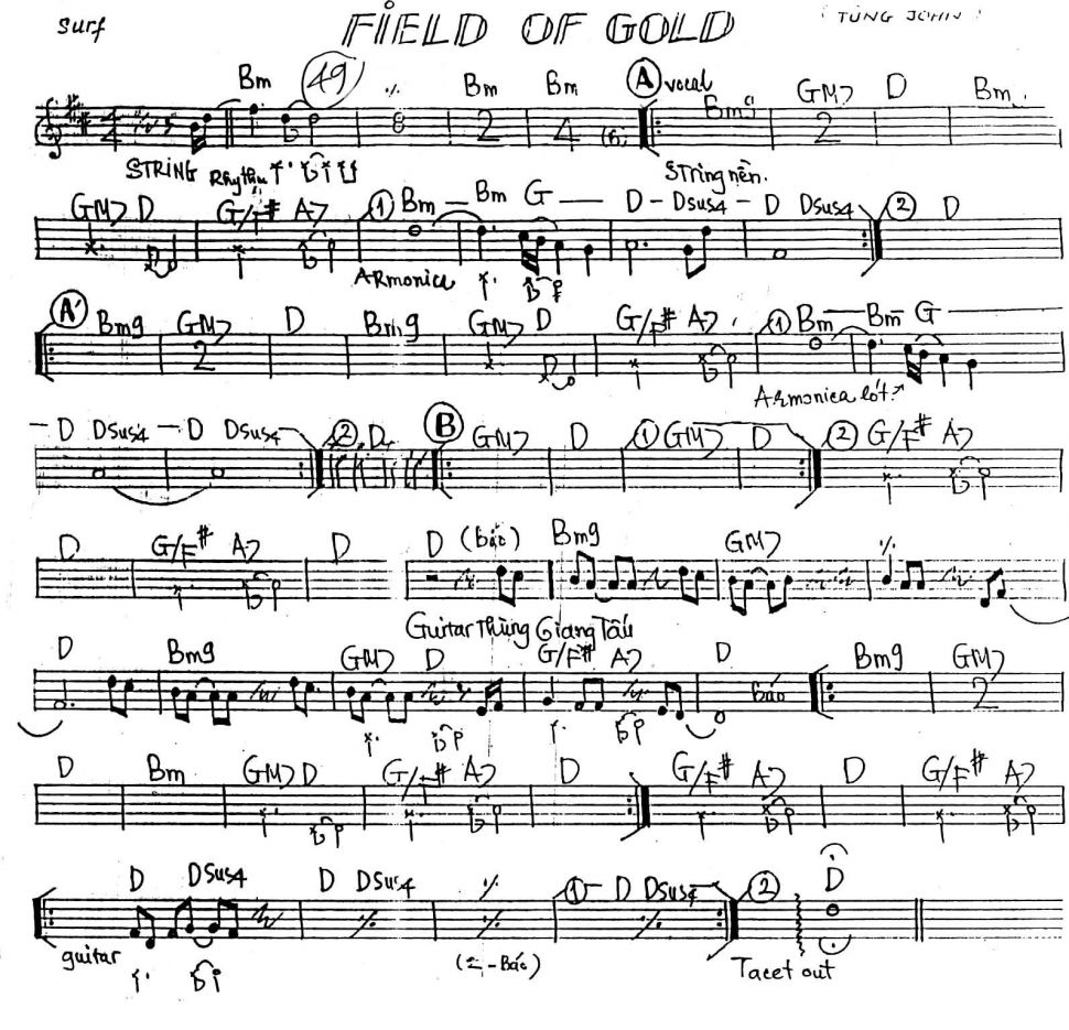 Field Of Gold sheet