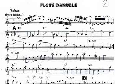 Flots Danuble sheet