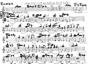 How In Seen Sitive sheet