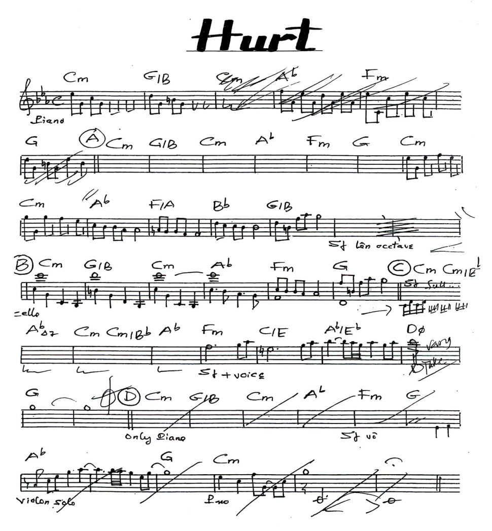 Hurt sheet