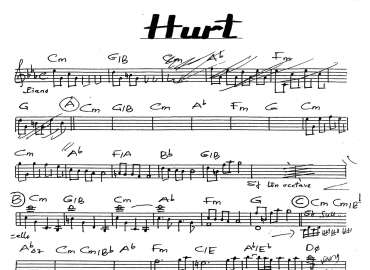 Hurt sheet
