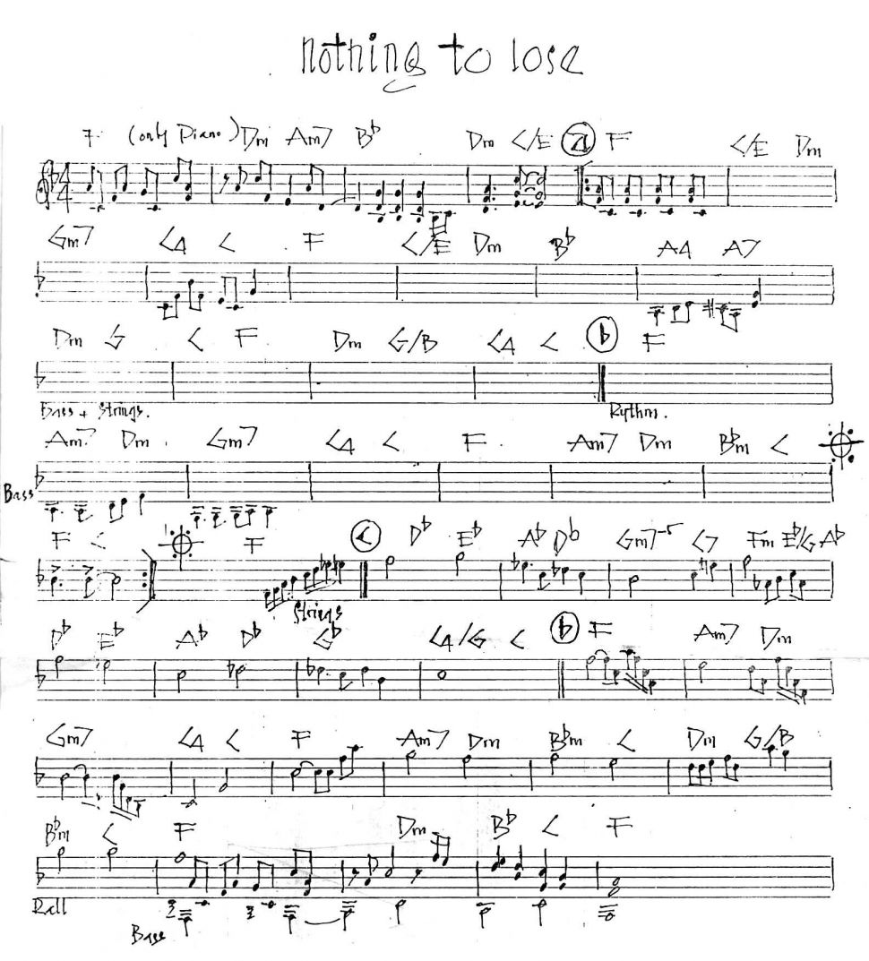 Nothing To Lose sheet