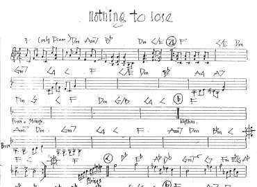 Nothing To Lose sheet