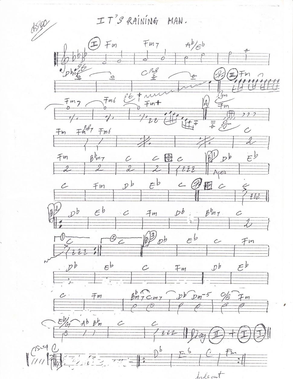 It's Raining Man sheet