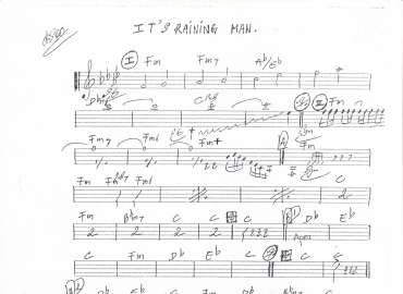 It's Raining Man sheet