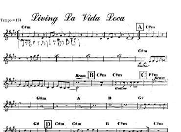 Living La Vida Loca sheet