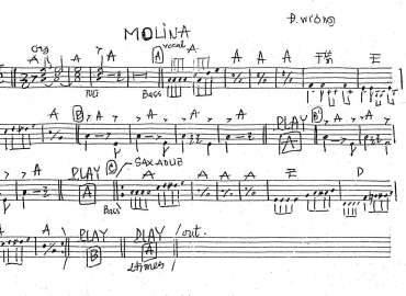 Molina sheet