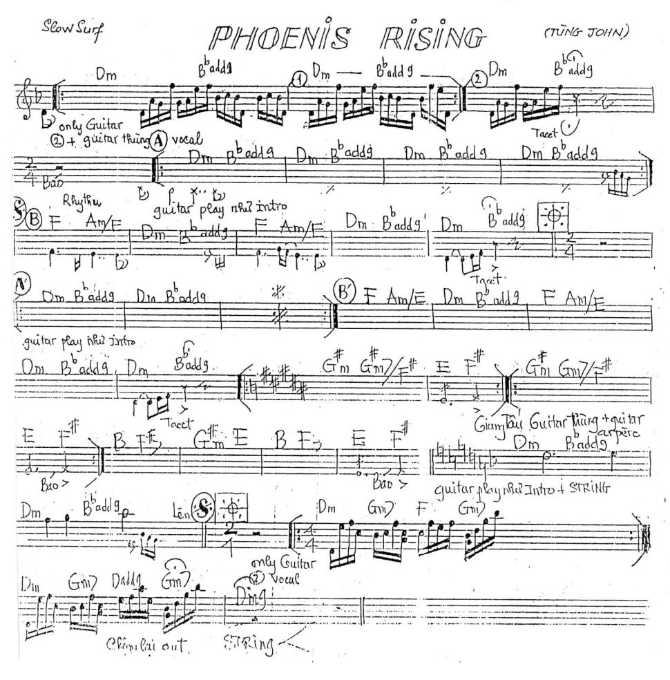 Phoneis Rising sheet