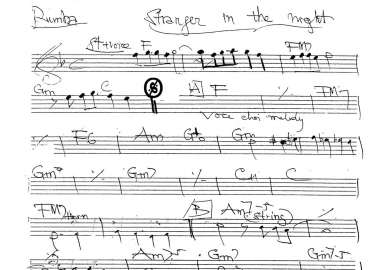 Stanger In The Night sheet