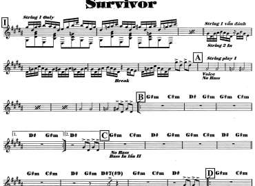 Survivor sheet