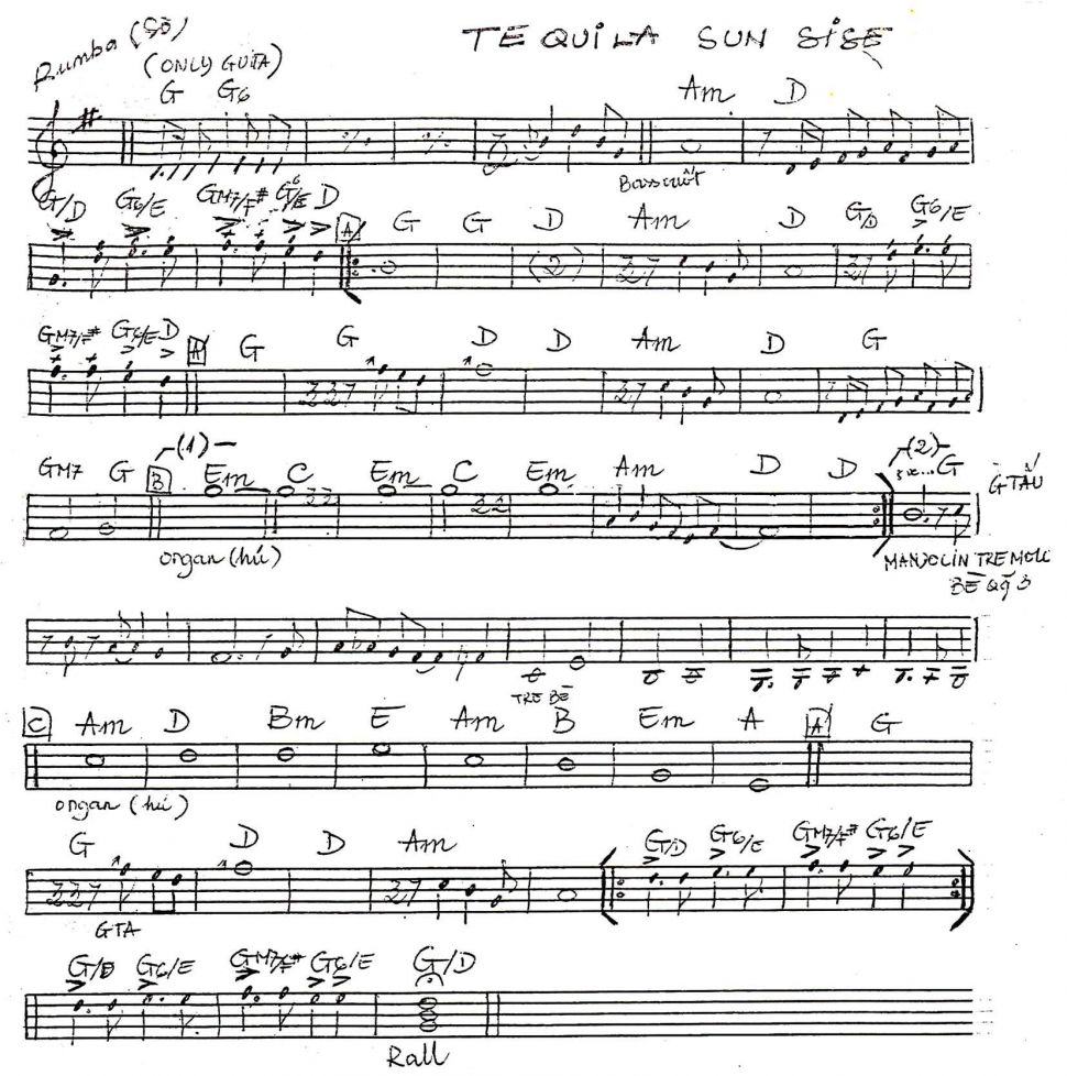Tequila Sun Sise sheet