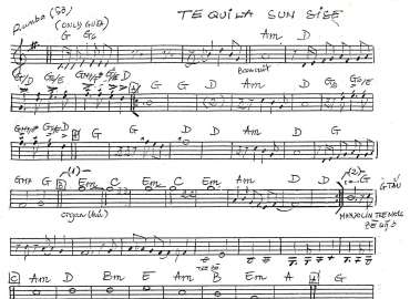 Tequila Sun Sise sheet