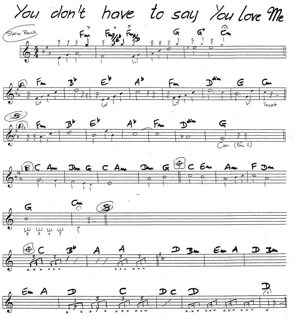 You don't have to say you love me sheet