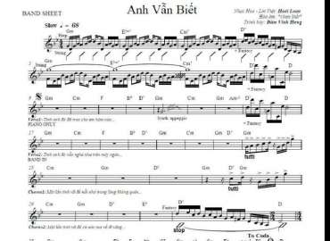 Anh vẫn biết sheet có lời